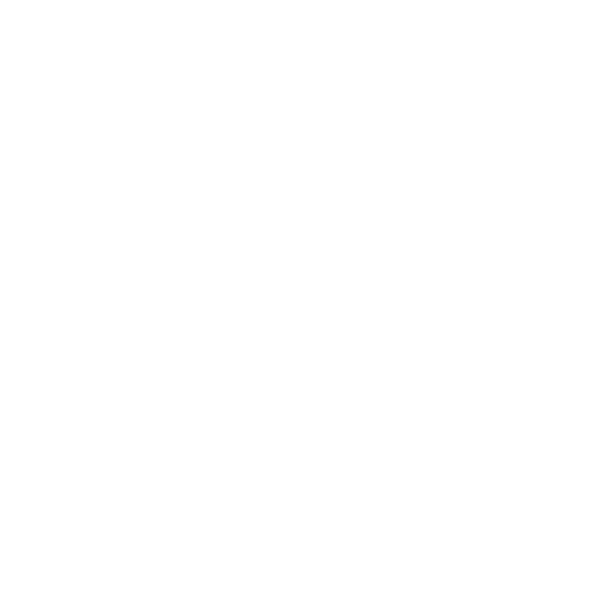 Electrical System & Diagnostics