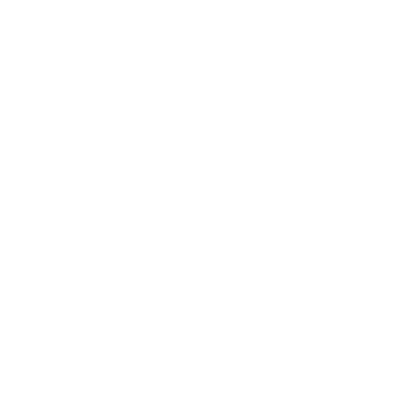 Engine & Drivetrain Repairs