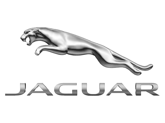 Jaguar Jaguar